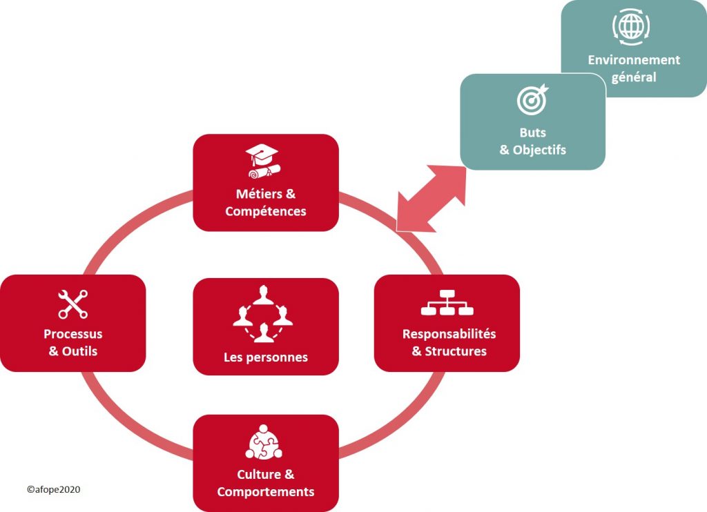 Les 7 composantes du modèle d'organisation